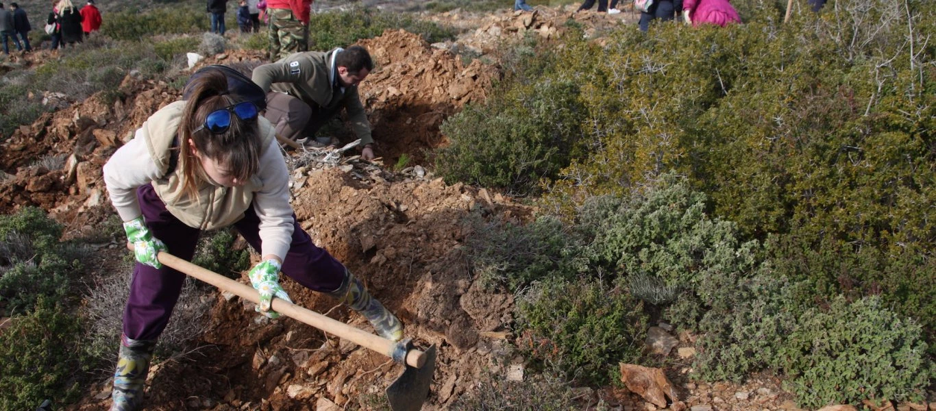 Μάτι: Στις 160.000 έχουν φτάσει οι υπογραφές των πολιτών για την αναδάσωση της περιοχής